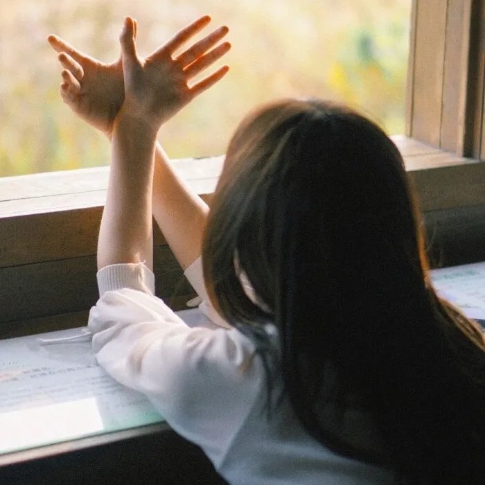 火神之天启之子