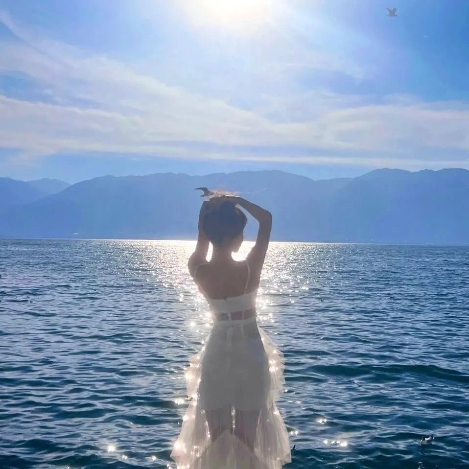 从此风雨不同舟